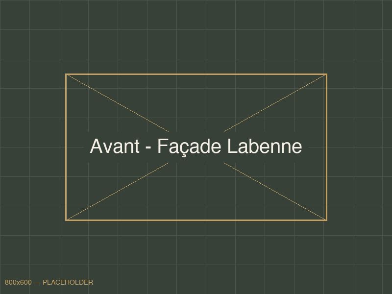 Avant - Traitement anti-mousse et hydrofuge — Maison landaise à Labenne